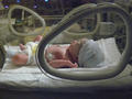 Beeldnr : 8 van 71
Naam : 2008-12-22_08.jpg
Folder : fotos/jaren-200x/2008-2/esmee/vanaf-de-geboorte/
Formaat : 800 x 600px
Thumb : 120 x 90px
Richting : Landschap
Bloknr : 1 van 2
Beeldnrs : 1 tm 50
Beelden in blok : 50