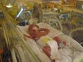 Beeldnr : 20 van 71
Naam : 2008-12-24_04.jpg
Folder : fotos/jaren-200x/2008-2/esmee/vanaf-de-geboorte/
Formaat : 800 x 600px
Thumb : 120 x 90px
Richting : Landschap
Bloknr : 1 van 2
Beeldnrs : 1 tm 50
Beelden in blok : 50