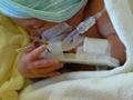 Beeldnr : 38 van 71
Naam : 2008-12-28_03.jpg
Folder : fotos/jaren-200x/2008-2/esmee/vanaf-de-geboorte/
Formaat : 600 x 800px
Thumb : 120 x 90px
Richting : Portret
Bloknr : 1 van 2
Beeldnrs : 1 tm 50
Beelden in blok : 50