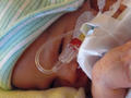 Beeldnr : 39 van 71
Naam : 2008-12-28_04.jpg
Folder : fotos/jaren-200x/2008-2/esmee/vanaf-de-geboorte/
Formaat : 600 x 800px
Thumb : 120 x 90px
Richting : Portret
Bloknr : 1 van 2
Beeldnrs : 1 tm 50
Beelden in blok : 50