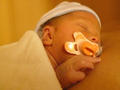 Beeldnr : 50 van 71
Naam : 2008-12-29_08.jpg
Folder : fotos/jaren-200x/2008-2/esmee/vanaf-de-geboorte/
Formaat : 800 x 600px
Thumb : 120 x 90px
Richting : Landschap
Bloknr : 1 van 2
Beeldnrs : 1 tm 50
Beelden in blok : 50