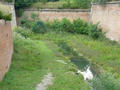 Beeldnr : 37 van 91
Naam : 0726b008.jpg
Folder : fotos/jaren-200x/2008-2/tsjechie/26-juli/
Formaat : 800 x 600px
Thumb : 120 x 90px
Richting : Landschap
Bloknr : 1 van 2
Beeldnrs : 1 tm 50
Beelden in blok : 50