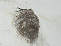 Beeldnr : 63 van 91
Naam : 0726b060.jpg
Folder : fotos/jaren-200x/2008-2/tsjechie/26-juli/
Formaat : 800 x 600px
Thumb : 120 x 90px
Richting : Landschap
Bloknr : 2 van 2
Beeldnrs : 51 tm 91
Beelden in blok : 41