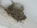 Beeldnr : 87 van 91
Naam : 0726b102.jpg
Folder : fotos/jaren-200x/2008-2/tsjechie/26-juli/
Formaat : 800 x 600px
Thumb : 120 x 90px
Richting : Landschap
Bloknr : 2 van 2
Beeldnrs : 51 tm 91
Beelden in blok : 41