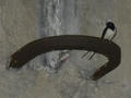 Beeldnr : 88 van 91
Naam : 0726b103.jpg
Folder : fotos/jaren-200x/2008-2/tsjechie/26-juli/
Formaat : 800 x 600px
Thumb : 120 x 90px
Richting : Landschap
Bloknr : 2 van 2
Beeldnrs : 51 tm 91
Beelden in blok : 41