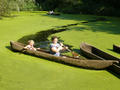 Beeldnr : 4 van 88
Naam : 090727_104_852.jpg
Folder : fotos/jaren-200x/2009-2/archeon-alphen-a-d-rijn/27-juli/
Formaat : 800 x 600px
Thumb : 120 x 90px
Richting : Landschap
Bloknr : 1 van 2
Beeldnrs : 1 tm 50
Beelden in blok : 50