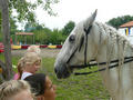 Beeldnr : 46 van 88
Naam : 090727_104_974.jpg
Folder : fotos/jaren-200x/2009-2/archeon-alphen-a-d-rijn/27-juli/
Formaat : 800 x 600px
Thumb : 120 x 90px
Richting : Landschap
Bloknr : 1 van 2
Beeldnrs : 1 tm 50
Beelden in blok : 50