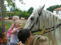 Beeldnr : 47 van 88
Naam : 090727_104_978.jpg
Folder : fotos/jaren-200x/2009-2/archeon-alphen-a-d-rijn/27-juli/
Formaat : 800 x 600px
Thumb : 120 x 90px
Richting : Landschap
Bloknr : 1 van 2
Beeldnrs : 1 tm 50
Beelden in blok : 50