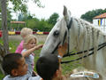 Beeldnr : 48 van 88
Naam : 090727_104_979.jpg
Folder : fotos/jaren-200x/2009-2/archeon-alphen-a-d-rijn/27-juli/
Formaat : 800 x 600px
Thumb : 120 x 90px
Richting : Landschap
Bloknr : 1 van 2
Beeldnrs : 1 tm 50
Beelden in blok : 50