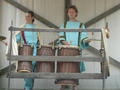 Beeldnr : 86 van 88
Naam : 090727_105_064.jpg
Folder : fotos/jaren-200x/2009-2/archeon-alphen-a-d-rijn/27-juli/
Formaat : 800 x 600px
Thumb : 120 x 90px
Richting : Landschap
Bloknr : 2 van 2
Beeldnrs : 51 tm 88
Beelden in blok : 38