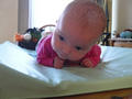 Beeldnr : 33 van 47
Naam : 09042404.jpg
Folder : fotos/jaren-200x/2009-2/esmee/apr/
Formaat : 800 x 600px
Thumb : 120 x 90px
Richting : Landschap
Bloknr : 1 van 1
Beeldnrs : 1 tm 47
Beelden in blok : 47