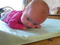 Beeldnr : 34 van 47
Naam : 09042405.jpg
Folder : fotos/jaren-200x/2009-2/esmee/apr/
Formaat : 800 x 600px
Thumb : 120 x 90px
Richting : Landschap
Bloknr : 1 van 1
Beeldnrs : 1 tm 47
Beelden in blok : 47