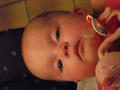 Beeldnr : 37 van 47
Naam : 09042422.jpg
Folder : fotos/jaren-200x/2009-2/esmee/apr/
Formaat : 600 x 800px
Thumb : 120 x 90px
Richting : Portret
Bloknr : 1 van 1
Beeldnrs : 1 tm 47
Beelden in blok : 47