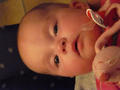 Beeldnr : 39 van 47
Naam : 09042424.jpg
Folder : fotos/jaren-200x/2009-2/esmee/apr/
Formaat : 600 x 800px
Thumb : 120 x 90px
Richting : Portret
Bloknr : 1 van 1
Beeldnrs : 1 tm 47
Beelden in blok : 47