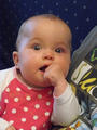 Beeldnr : 15 van 62
Naam : 2009-08-12_50157.jpg
Folder : fotos/jaren-200x/2009-2/esmee/aug/
Formaat : 600 x 800px
Thumb : 90 x 120px
Richting : Portret
Bloknr : 1 van 2
Beeldnrs : 1 tm 50
Beelden in blok : 50