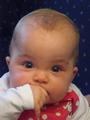 Beeldnr : 46 van 62
Naam : p1050154.jpg
Folder : fotos/jaren-200x/2009-2/esmee/aug/
Formaat : 600 x 800px
Thumb : 90 x 120px
Richting : Portret
Bloknr : 1 van 2
Beeldnrs : 1 tm 50
Beelden in blok : 50