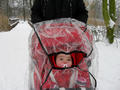 Beeldnr : 46 van 96
Naam : 2009-12-20_11217.jpg
Folder : fotos/jaren-200x/2009-2/esmee/dec/
Formaat : 800 x 600px
Thumb : 120 x 90px
Richting : Landschap
Bloknr : 1 van 2
Beeldnrs : 1 tm 50
Beelden in blok : 50