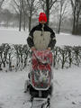 Beeldnr : 48 van 96
Naam : 2009-12-20_11221.jpg
Folder : fotos/jaren-200x/2009-2/esmee/dec/
Formaat : 600 x 800px
Thumb : 90 x 120px
Richting : Portret
Bloknr : 1 van 2
Beeldnrs : 1 tm 50
Beelden in blok : 50