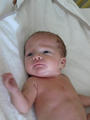 Beeldnr : 4 van 43
Naam : 09020104.jpg
Folder : fotos/jaren-200x/2009-2/esmee/feb/
Formaat : 600 x 800px
Thumb : 90 x 120px
Richting : Portret
Bloknr : 1 van 1
Beeldnrs : 1 tm 43
Beelden in blok : 43