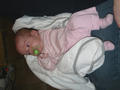 Beeldnr : 35 van 43
Naam : 09022602.jpg
Folder : fotos/jaren-200x/2009-2/esmee/feb/
Formaat : 600 x 800px
Thumb : 120 x 90px
Richting : Portret
Bloknr : 1 van 1
Beeldnrs : 1 tm 43
Beelden in blok : 43