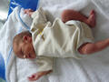 Beeldnr : 10 van 123
Naam : 09010111.jpg
Folder : fotos/jaren-200x/2009-2/esmee/jan/
Formaat : 600 x 800px
Thumb : 120 x 90px
Richting : Portret
Bloknr : 1 van 3
Beeldnrs : 1 tm 50
Beelden in blok : 50