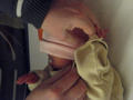 Beeldnr : 14 van 123
Naam : 09010115.jpg
Folder : fotos/jaren-200x/2009-2/esmee/jan/
Formaat : 600 x 800px
Thumb : 120 x 90px
Richting : Portret
Bloknr : 1 van 3
Beeldnrs : 1 tm 50
Beelden in blok : 50