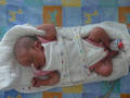 Beeldnr : 109 van 123
Naam : 09012002.jpg
Folder : fotos/jaren-200x/2009-2/esmee/jan/
Formaat : 800 x 600px
Thumb : 120 x 90px
Richting : Landschap
Bloknr : 3 van 3
Beeldnrs : 101 tm 123
Beelden in blok : 23