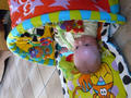 Beeldnr : 12 van 84
Naam : 09050383.jpg
Folder : fotos/jaren-200x/2009-2/esmee/mei/
Formaat : 600 x 800px
Thumb : 120 x 90px
Richting : Portret
Bloknr : 1 van 2
Beeldnrs : 1 tm 50
Beelden in blok : 50