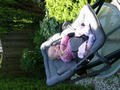 Beeldnr : 42 van 84
Naam : 09052309.jpg
Folder : fotos/jaren-200x/2009-2/esmee/mei/
Formaat : 600 x 800px
Thumb : 120 x 90px
Richting : Portret
Bloknr : 1 van 2
Beeldnrs : 1 tm 50
Beelden in blok : 50
