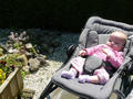 Beeldnr : 47 van 84
Naam : 09052323.jpg
Folder : fotos/jaren-200x/2009-2/esmee/mei/
Formaat : 800 x 600px
Thumb : 120 x 90px
Richting : Landschap
Bloknr : 1 van 2
Beeldnrs : 1 tm 50
Beelden in blok : 50