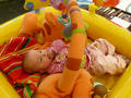 Beeldnr : 49 van 84
Naam : 09052327.jpg
Folder : fotos/jaren-200x/2009-2/esmee/mei/
Formaat : 800 x 600px
Thumb : 120 x 90px
Richting : Landschap
Bloknr : 1 van 2
Beeldnrs : 1 tm 50
Beelden in blok : 50