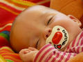 Beeldnr : 55 van 84
Naam : 09052342.jpg
Folder : fotos/jaren-200x/2009-2/esmee/mei/
Formaat : 800 x 600px
Thumb : 120 x 90px
Richting : Landschap
Bloknr : 2 van 2
Beeldnrs : 51 tm 84
Beelden in blok : 34