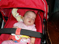Beeldnr : 6 van 21
Naam : 2009-11-01_11092.jpg
Folder : fotos/jaren-200x/2009-2/esmee/nov/
Formaat : 800 x 600px
Thumb : 120 x 90px
Richting : Landschap
Bloknr : 1 van 1
Beeldnrs : 1 tm 21
Beelden in blok : 21
