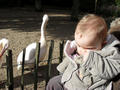 Beeldnr : 27 van 53
Naam : 2009-10-25_10909.jpg
Folder : fotos/jaren-200x/2009-2/esmee/okt/
Formaat : 800 x 600px
Thumb : 120 x 90px
Richting : Landschap
Bloknr : 1 van 2
Beeldnrs : 1 tm 50
Beelden in blok : 50