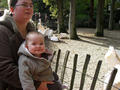 Beeldnr : 29 van 53
Naam : 2009-10-25_10912.jpg
Folder : fotos/jaren-200x/2009-2/esmee/okt/
Formaat : 800 x 600px
Thumb : 120 x 90px
Richting : Landschap
Bloknr : 1 van 2
Beeldnrs : 1 tm 50
Beelden in blok : 50