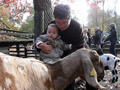 Beeldnr : 47 van 53
Naam : 2009-10-31_11040.jpg
Folder : fotos/jaren-200x/2009-2/esmee/okt/
Formaat : 800 x 600px
Thumb : 120 x 90px
Richting : Landschap
Bloknr : 1 van 2
Beeldnrs : 1 tm 50
Beelden in blok : 50