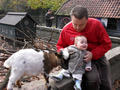 Beeldnr : 49 van 53
Naam : 2009-10-31_11049.jpg
Folder : fotos/jaren-200x/2009-2/esmee/okt/
Formaat : 800 x 600px
Thumb : 120 x 90px
Richting : Landschap
Bloknr : 1 van 2
Beeldnrs : 1 tm 50
Beelden in blok : 50