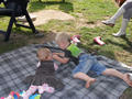 Beeldnr : 29 van 160
Naam : 2009-09-27_10779.jpg
Folder : fotos/jaren-200x/2009-2/esmee/sep/
Formaat : 800 x 600px
Thumb : 120 x 90px
Richting : Landschap
Bloknr : 1 van 4
Beeldnrs : 1 tm 50
Beelden in blok : 50