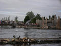 Beeldnr : 29 van 159
Naam : foa-0101.jpg
Folder : fotos/jaren-200x/2009-2/nederland/31-aug/
Formaat : 800 x 600px
Thumb : 120 x 90px
Richting : Landschap
Bloknr : 1 van 4
Beeldnrs : 1 tm 50
Beelden in blok : 50