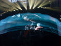 Beeldnr : 11 van 35
Naam : u2_07.jpg
Folder : fotos/jaren-200x/2009-2/u2-amsterdam-arena/21-juli/
Formaat : 800 x 600px
Thumb : 120 x 90px
Richting : Landschap
Bloknr : 1 van 1
Beeldnrs : 1 tm 35
Beelden in blok : 35