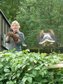 Beeldnr : 20 van 50
Naam : jjh29a90.jpg
Folder : fotos/jaren-201x/2010-2/duitsland/29-aug/
Formaat : 600 x 800px
Thumb : 90 x 120px
Richting : Portret
Bloknr : 1 van 1
Beeldnrs : 1 tm 50
Beelden in blok : 50