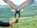 Beeldnr : 21 van 50
Naam : jjh29a93.jpg
Folder : fotos/jaren-201x/2010-2/duitsland/29-aug/
Formaat : 800 x 600px
Thumb : 120 x 90px
Richting : Landschap
Bloknr : 1 van 1
Beeldnrs : 1 tm 50
Beelden in blok : 50