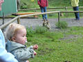 Beeldnr : 33 van 50
Naam : jjh29b59g.jpg
Folder : fotos/jaren-201x/2010-2/duitsland/29-aug/
Formaat : 800 x 600px
Thumb : 120 x 90px
Richting : Landschap
Bloknr : 1 van 1
Beeldnrs : 1 tm 50
Beelden in blok : 50