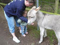 Beeldnr : 36 van 50
Naam : jjh29b72g.jpg
Folder : fotos/jaren-201x/2010-2/duitsland/29-aug/
Formaat : 800 x 600px
Thumb : 120 x 90px
Richting : Landschap
Bloknr : 1 van 1
Beeldnrs : 1 tm 50
Beelden in blok : 50