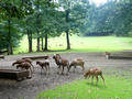 Beeldnr : 39 van 50
Naam : jjh29b76.jpg
Folder : fotos/jaren-201x/2010-2/duitsland/29-aug/
Formaat : 800 x 600px
Thumb : 120 x 90px
Richting : Landschap
Bloknr : 1 van 1
Beeldnrs : 1 tm 50
Beelden in blok : 50