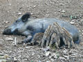 Beeldnr : 49 van 50
Naam : jjh29c03.jpg
Folder : fotos/jaren-201x/2010-2/duitsland/29-aug/
Formaat : 800 x 600px
Thumb : 120 x 90px
Richting : Landschap
Bloknr : 1 van 1
Beeldnrs : 1 tm 50
Beelden in blok : 50