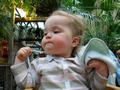 Beeldnr : 8 van 143
Naam : 2010-05-14_11593.jpg
Folder : fotos/jaren-201x/2010-2/esmee/mei/
Formaat : 800 x 600px
Thumb : 120 x 90px
Richting : Landschap
Bloknr : 1 van 3
Beeldnrs : 1 tm 50
Beelden in blok : 50
