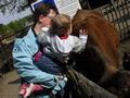 Beeldnr : 30 van 143
Naam : 2010-05-15_11634.jpg
Folder : fotos/jaren-201x/2010-2/esmee/mei/
Formaat : 800 x 600px
Thumb : 120 x 90px
Richting : Landschap
Bloknr : 1 van 3
Beeldnrs : 1 tm 50
Beelden in blok : 50