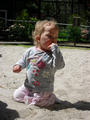 Beeldnr : 89 van 143
Naam : 2010-05-22_11832.jpg
Folder : fotos/jaren-201x/2010-2/esmee/mei/
Formaat : 600 x 800px
Thumb : 90 x 120px
Richting : Portret
Bloknr : 2 van 3
Beeldnrs : 51 tm 100
Beelden in blok : 50