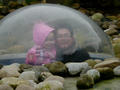 Beeldnr : 11 van 27
Naam : jjk19b77.jpg
Folder : fotos/jaren-201x/2010-2/esmee/nov/
Formaat : 800 x 600px
Thumb : 120 x 90px
Richting : Landschap
Bloknr : 1 van 1
Beeldnrs : 1 tm 27
Beelden in blok : 27